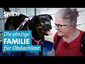 Marianne unterstützt Obdachlose und deren Hunde