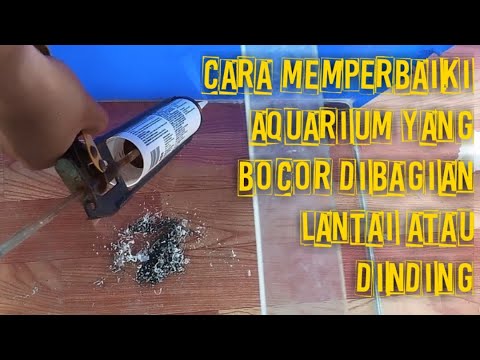 cara menambal akuarium yang bocor. 