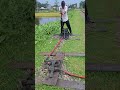 Rail track repair &amp; track switching #railtrack #train #shorts