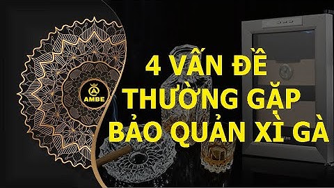 4 vấn đề thường gặp khi bảo quản C.i.g.a.r | Những điều thú vị về C.i.g.a.r 11 | Ambe