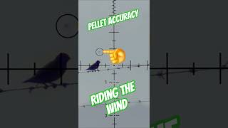 Riding the wind | Pellet Accuracy #fxairguns #elementoptics