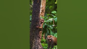 What was the Earth like when life was first born? #documentary #history #science #earth #universe