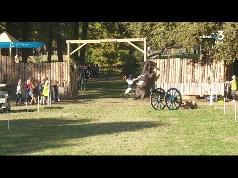 Chute spectaculaire de Jack Pinkney au 5 étoiles CCI de Pau 2019 sans gravité. Horse accident