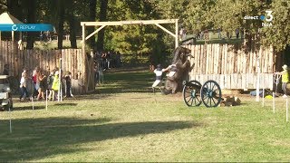 Chute spectaculaire de Jack Pinkney au 5 étoiles CCI de Pau 2019 sans gravité. Horse accident