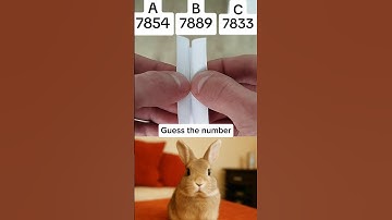 Only genius can see this number💯🧠 #shorts #cat #shortsfeed #bombastic