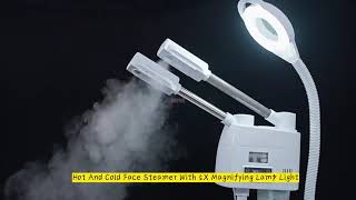 Hot And Cold Face Steamer With 5X Magnifying Lamp Light