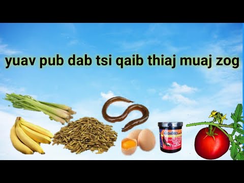 Video: Dab tsi yog qhov torque ntawm lub cev muaj zog?