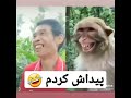 پیداش کردم این میمون نادرو خنده دار فان   میمون 