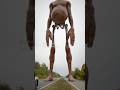 The Big Belly Giant
