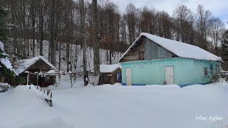 Suuçtu Ormanları ve Basamaklı Şelaleler...