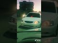 فيرنا الجزائر