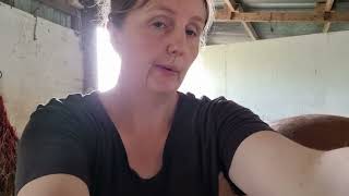 module 4 case study - horse B back Wealth