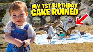 KADES BIRTHDAY PHOTO *FAIL* | seagulls ate his cake!!