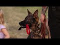 2022 Fall K9 Graduation Promo