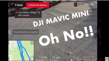 DJI MINI DRONE FLY AWAY with Zero Battery DON