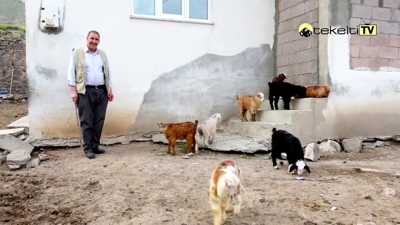 Iğdır Seni Çağırıyor - Kuruağaç