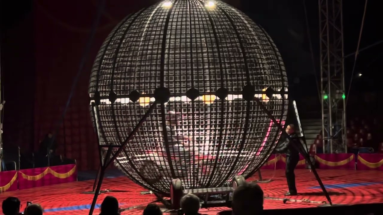 Do Portugal Circus East Boston @doportugalcircusofficial 