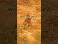 Video ku bana raha hai