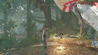 Tomb Raider: Survivor Timeline 8