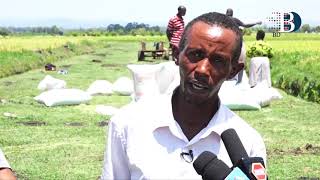 Farmers oppose agrochemicals' ban