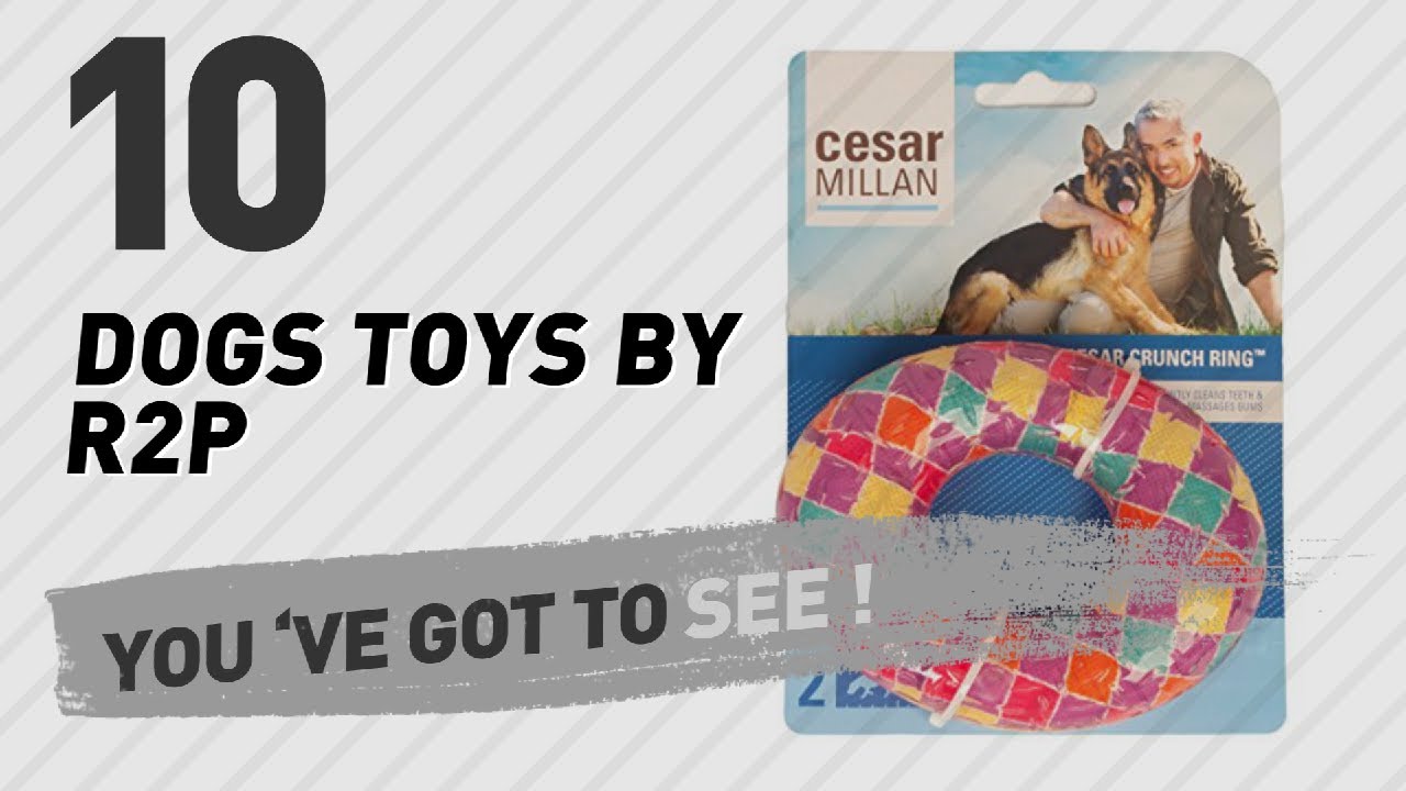 pet supplies supplier Dogs Toys By R2P // Pets Lovers Most Popular