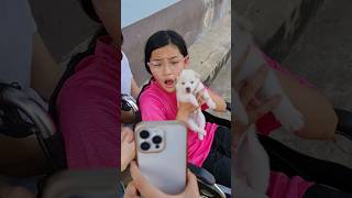 Don't Take disabled Girl's Puppy Away‼️😳😘😂 | JJaiPan #Shorts