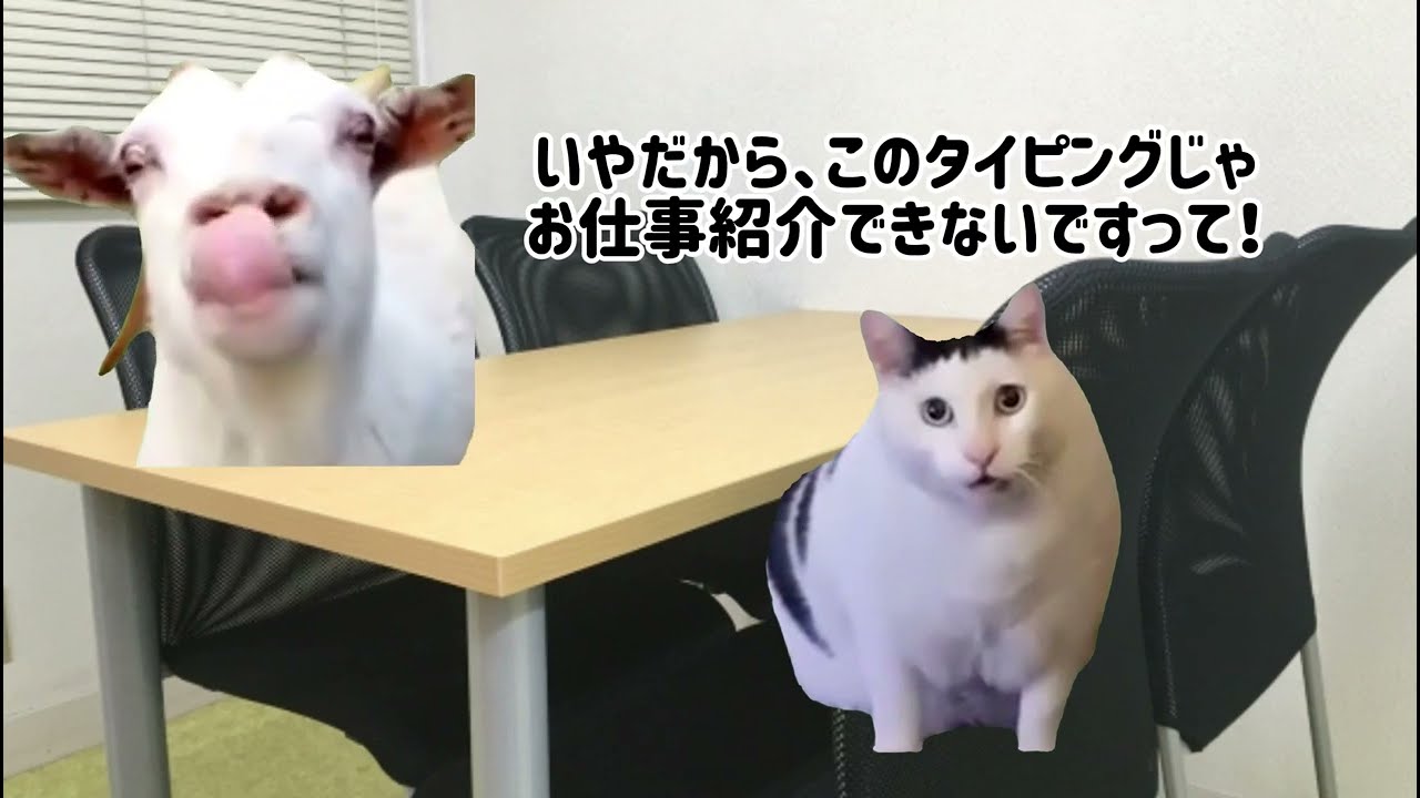 これから派遣会社でお仕事し始める君に【猫ミーム】