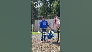 Quick Tips On Working With A Sensitive & Explosive Horse! Part 10 | The Horse Guru - Michael Gascon