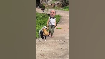 Thumbnail of Tavukları pişirmişem