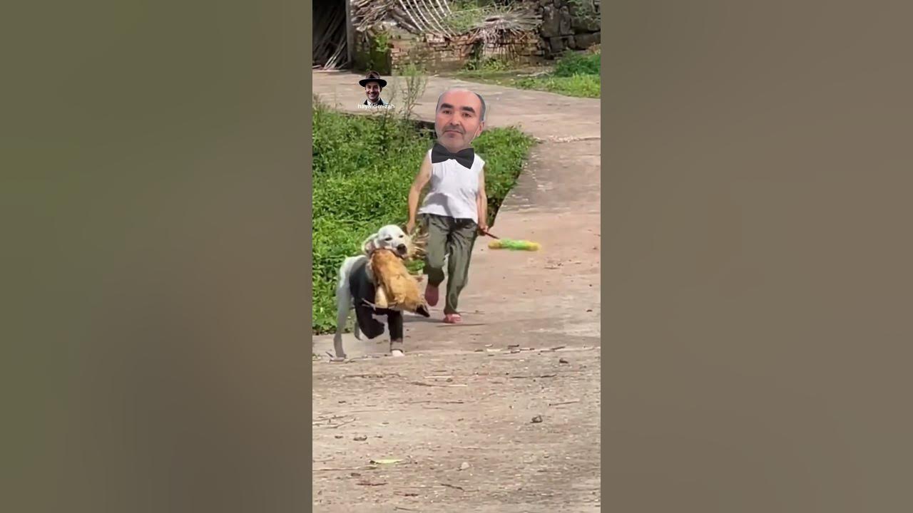 Tavukları pişirmişem