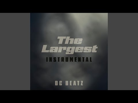 邦楽 DEV LARGE DL DL THE ALBUM INSTRUMENTAL DEV LARGE / THE ALBUM (ADMONITIONS) INSTRUMENTAL (2LP