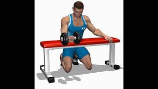 Flexão de Punho com Haltere
