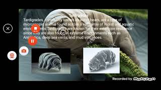 ITec 11 - Living in the IT Era: Presentation Activity (Tardigrade)