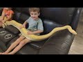 Little Kids love their big Burmese python