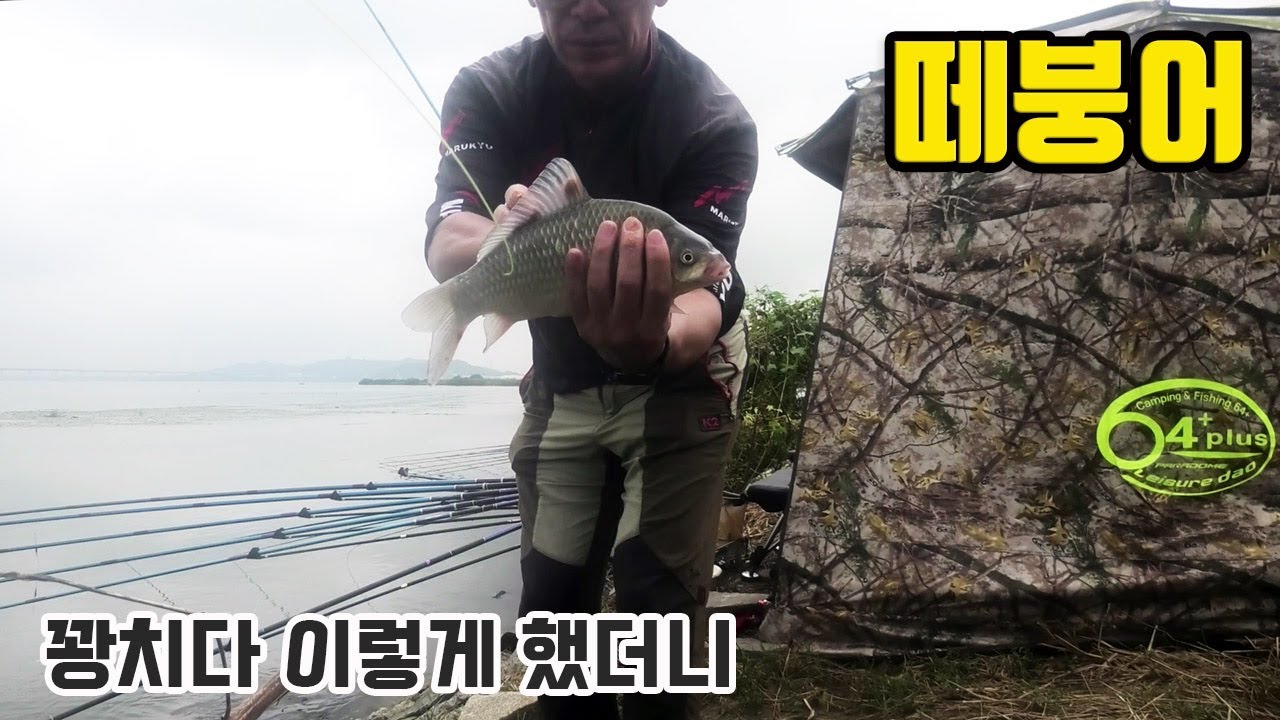 꽝인 자리에서 떼붕어를 낚는 방법 #붕어낚시