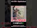 クマが崖の上から空を飛べました。 #熊 #ヒグマ #animals #動物 #おすすめ