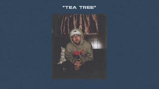 TEA TREE - KOTA THE FRIEND x MAC MILLER TYPE BEAT