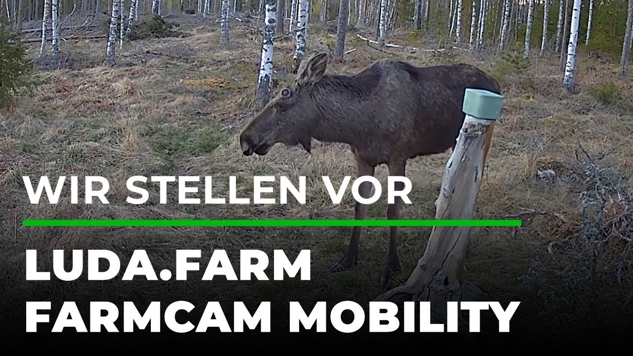 Wir stellen vor: FarmCam Videobeispiel Elch | GRUBE.DE