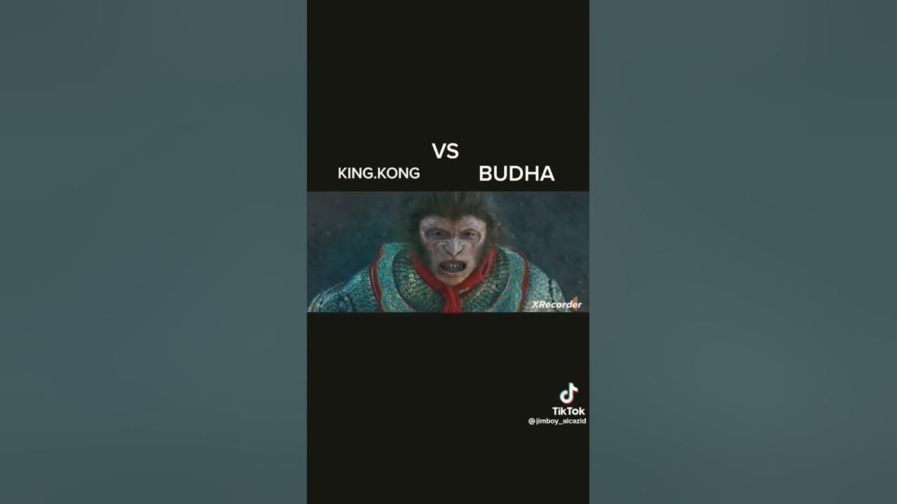 King.kong vs BUDHA siapa yg menang