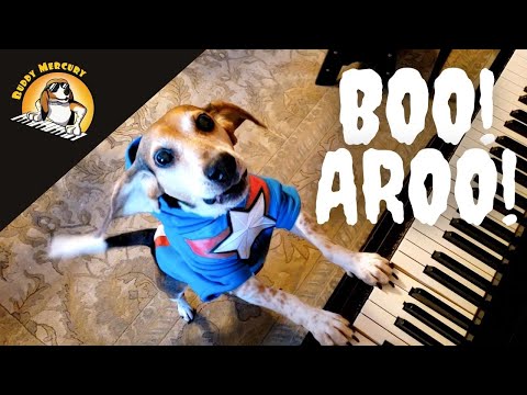 Video: Howl-o-ween