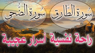 سورة الطارق و الضحى مكررة💎راحة نفسية💚 تلاوة هادئة بصوت جميل || القارئ زياد الشوا 💚