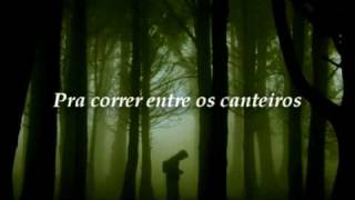 Video thumbnail of "♪ Fagner - Canteiros ♫ (com legenda)"