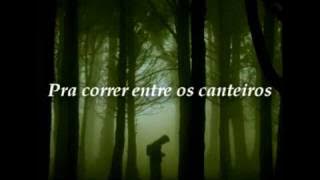 ♪ Fagner - Canteiros ♫ (com legenda)