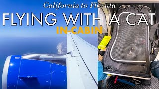 Flying across the USA with my cat (in cabin) | United Airlines