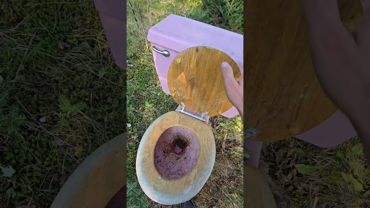 Who Else Likes This Idea, i'm saving a retro toilet from the landfill.