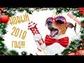 Как встречать Новый 2018 Год?