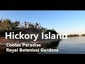 Hickory Island at Cootes Paradise: A Birdwatcher&#39;s Haven