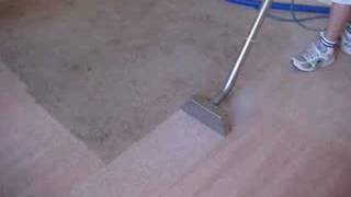 Carpet Cleaning in Mesa AZ Sierra Carpet Care