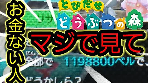 とびだせどうぶつの森 裏ワザ たぬきち 捕まえる