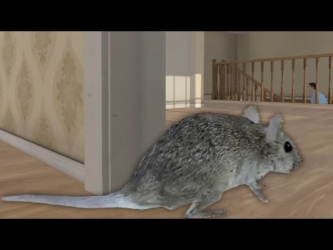 СИМУЛЯТОР МЫШИ ТЕРРОРИСТА! ЗАРАЗИМ ВСЁ! МЫШИ БУДУТ ГЛАВНЫМИ! RAT SIMULATOR